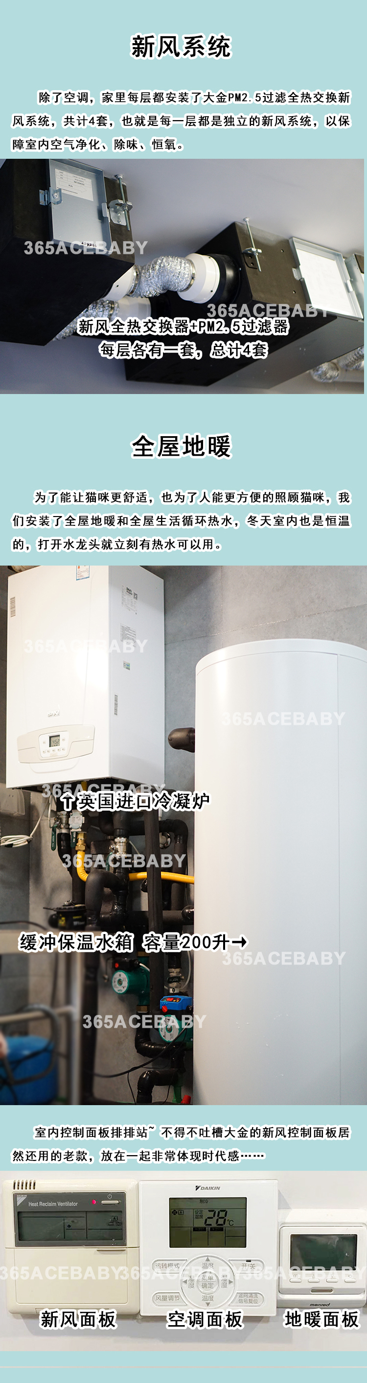 猫舍环境与设备