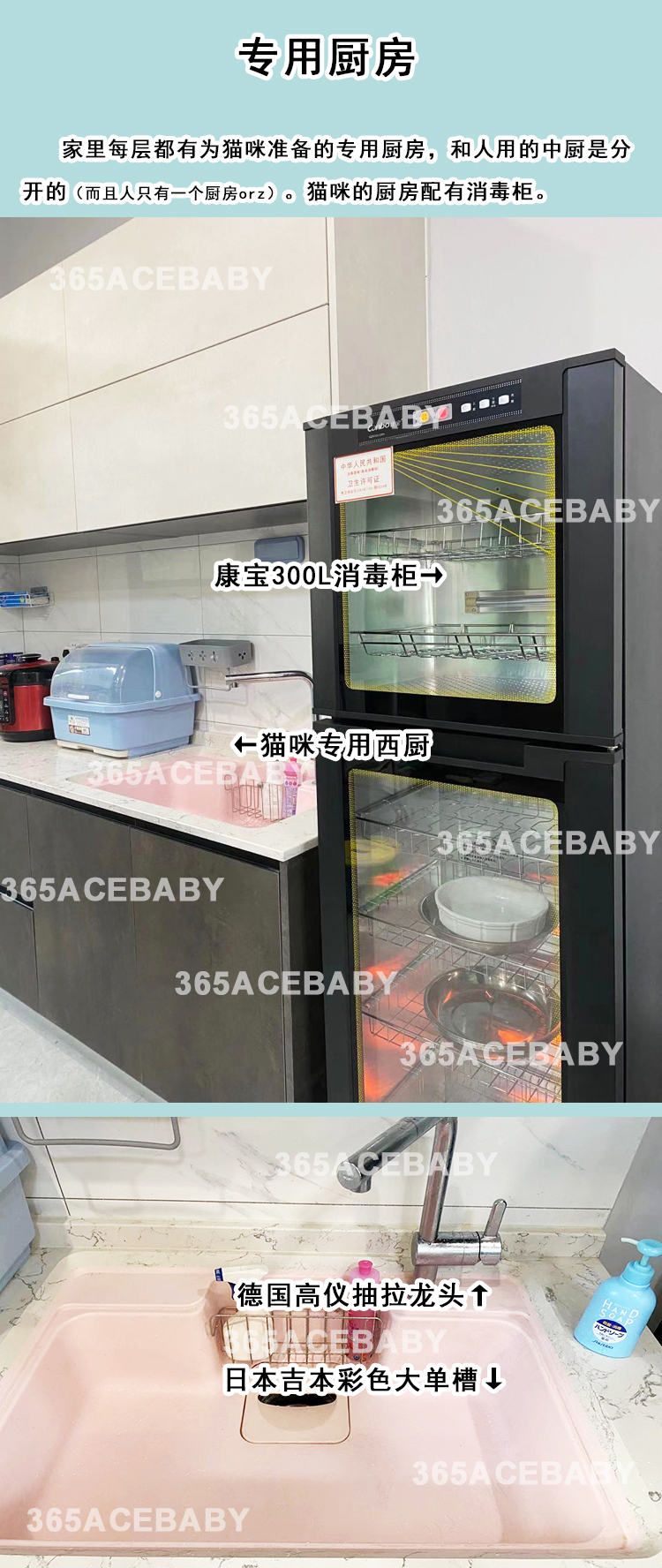 猫舍环境与设备