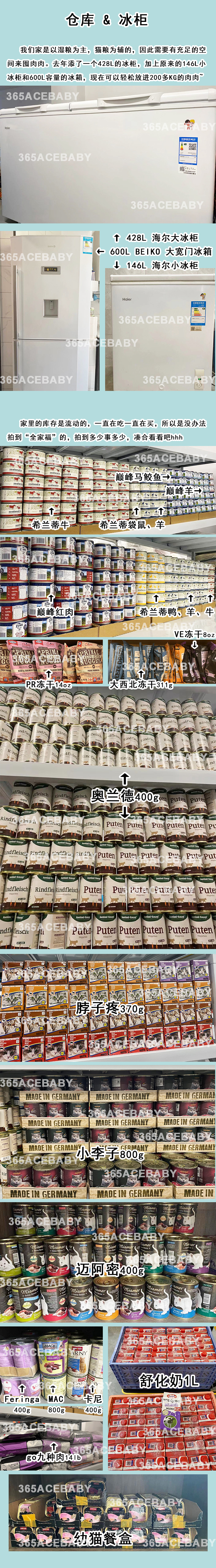 猫舍环境与设备