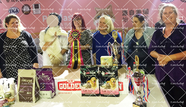 海豹山双布偶猫